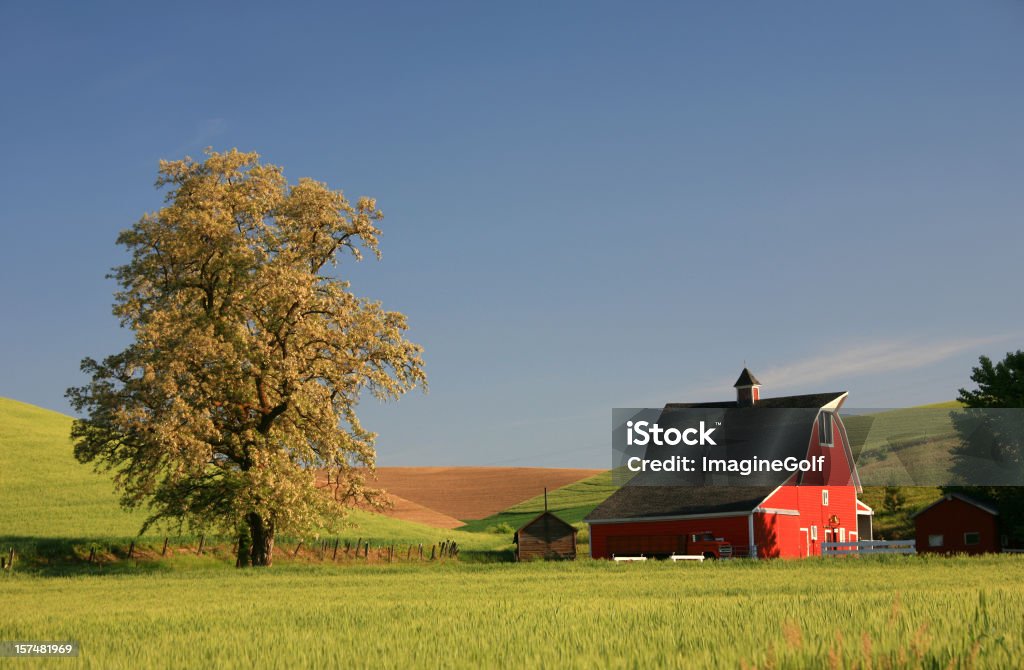 Rosso di un fienile sul Rolling Prairie - Foto stock royalty-free di Composizione orizzontale