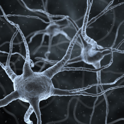 photorealistic 3d neurons (nerve cells)
