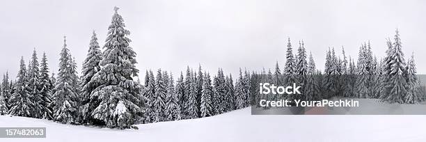 Moutain Panoramiczny - zdjęcia stockowe i więcej obrazów Śnieg - Śnieg, Drzewo, Alpy