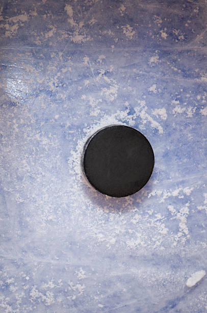 palet de hockey sur la ligne bleue - palet de hockey photos et images de collection