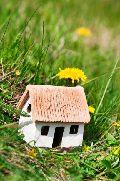 istock Small eco house in the green grass 157482158