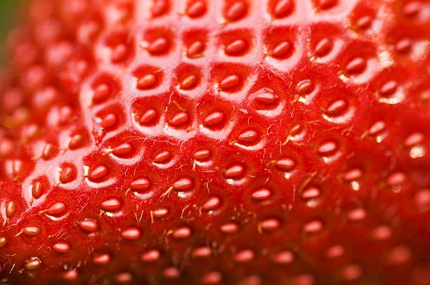 Close-up of a fresh strawberry surface Detailed surface shot of a fresh ripe red strawberry. extreme close up stock pictures, royalty-free photos & images