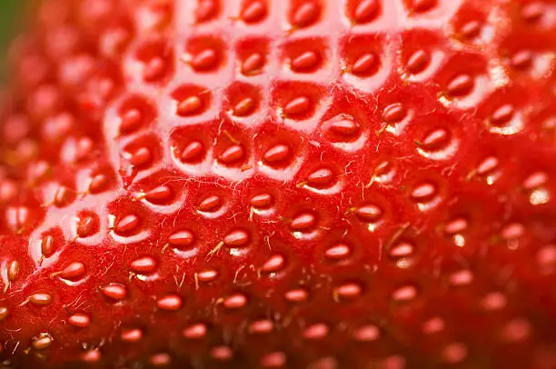 Detailed surface shot of a fresh ripe red strawberry.
