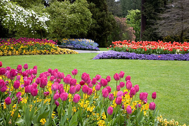 색상화 정원 - flower bed spring flower tree 뉴스 사진 이미지