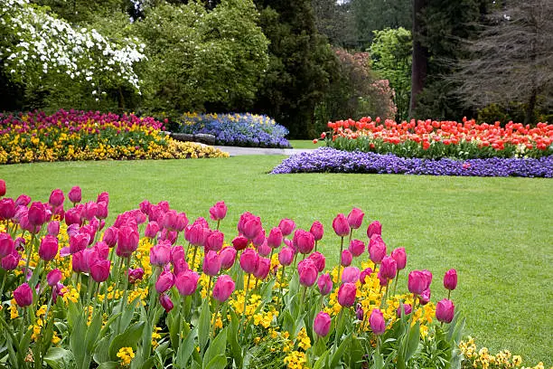 Photo of Colorful garden landscape and grassy lawn