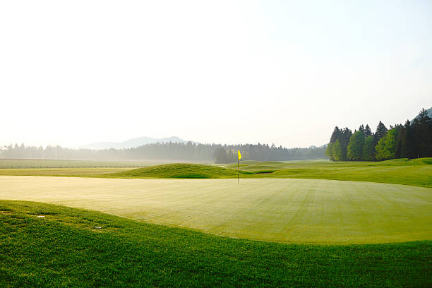 Golf green – zdjęcie