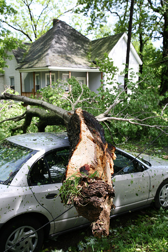 Large tree branch on top of a car in the aftermath of a tornado