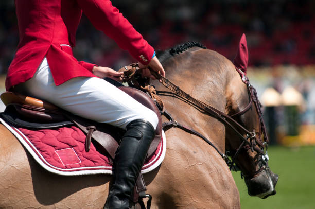 horse and rider on equestrian event horse and rider in action on a show jumping. Please see here some related horse pictures and photos: equestrian show jumping stock pictures, royalty-free photos & images