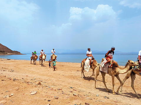 May 2023, Dahab, Egypt: Camel ride with Bedouins along the Red Sea coast of the Sinai Peninsula. Camel excursions and active tourism activities. Animals and extreme landscapes.