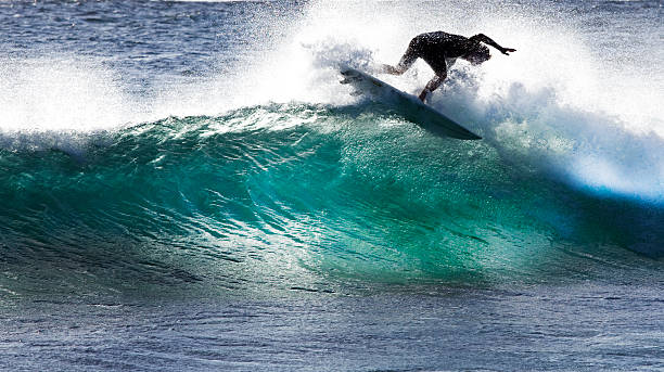 surfeur - spraying beaches summer sunlight photos et images de collection