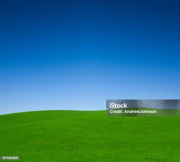 Grass Field Foto de stock y más banco de imágenes de Aire libre - Aire libre, Aislado, Ajardinado