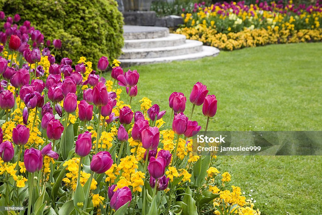 Pink and yellow flowers around a garden lawn Backyard garden,the focus is on the front. Yard - Grounds Stock Photo