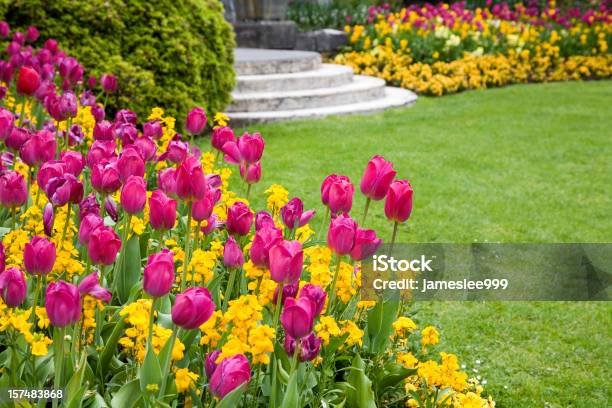 Pink And Yellow Flowers Around A Garden Lawn Stock Photo - Download Image Now - Yard - Grounds, Flower, Springtime