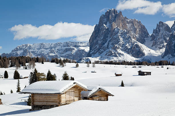 Winter landscape with shed and Langkofel mountain in Dolomites, Italy  alto adige italy photos stock pictures, royalty-free photos & images