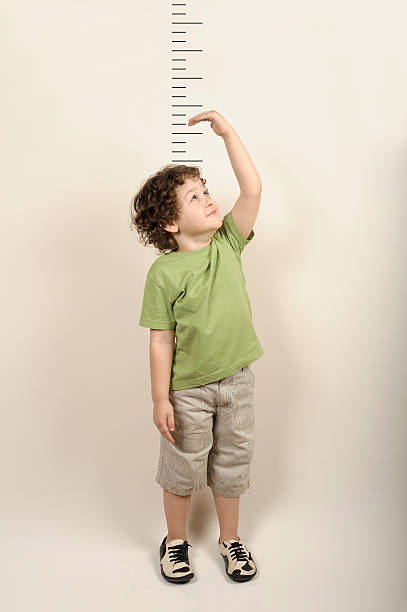 Small child measuring himself standing up Little child measures his height human height stock pictures, royalty-free photos & images