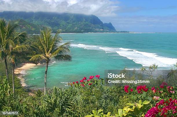 Wunderschöne Bay Auf Hawaii Stockfoto und mehr Bilder von Insel Kauai - Insel Kauai, Princeville, Hawaii - Inselgruppe