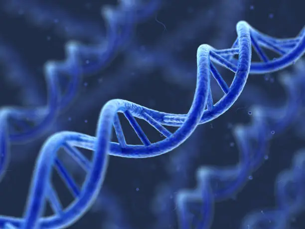 Photo of DNA