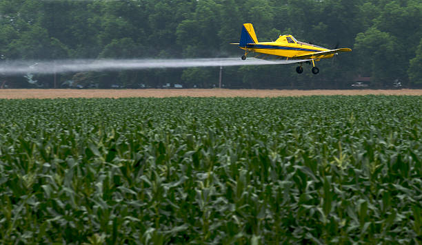 cornfield cropduster su - spraying agriculture farm herbicide foto e immagini stock