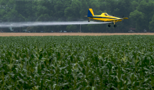 Cropduster sprays chemicals onto a corn field in Arkansas. Need photos representing the people, places and natural beauty of Arkansas? Please see these... 