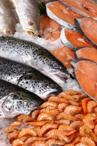 istock Fresh salmon and shrimp on ice 157484055