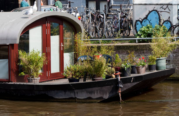 Potted plants on deck of houseboat in Amsterdam
