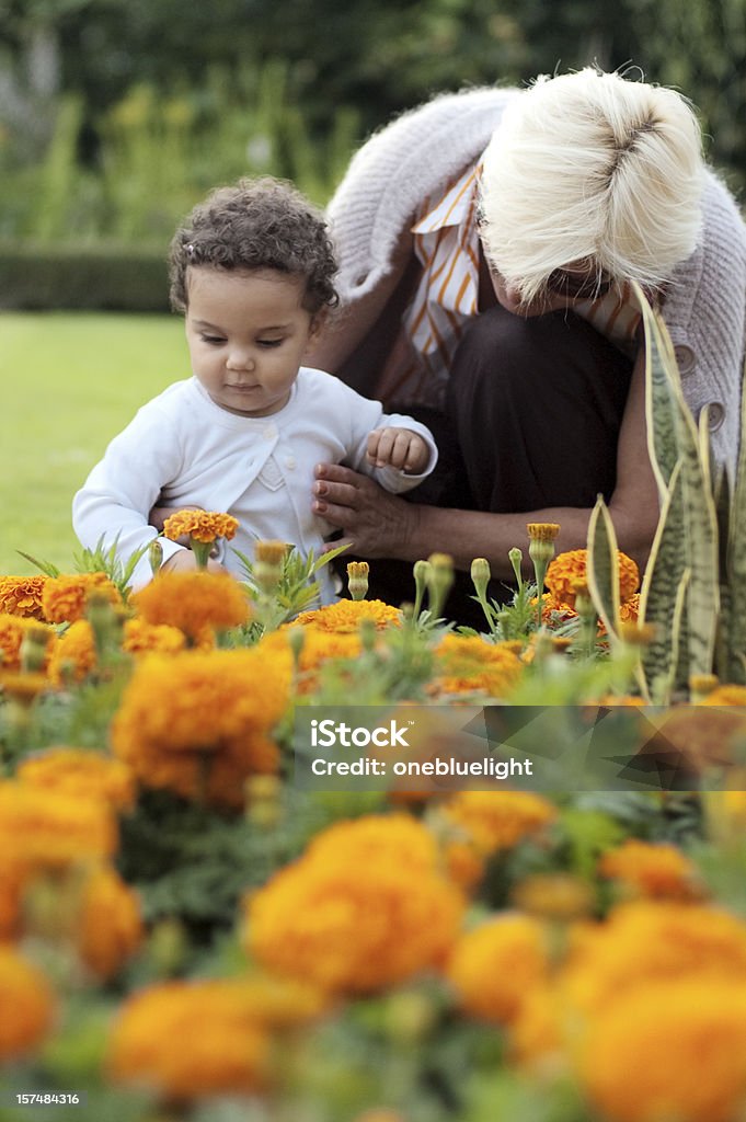 Babka pomagając jej Wnuczka z Pierwsze kroki (Seria - Zbiór zdjęć royalty-free (Dziecko)