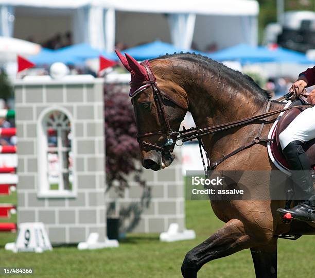 Лошадь В Конкур — стоковые фотографии и другие картинки Конкур - Конкур, Hurdling - Horse Racing, Барьер