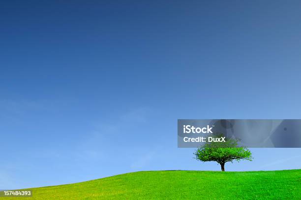 Green Field Y Árbol Horizontal Foto de stock y más banco de imágenes de Aire libre - Aire libre, Aislado, Azul