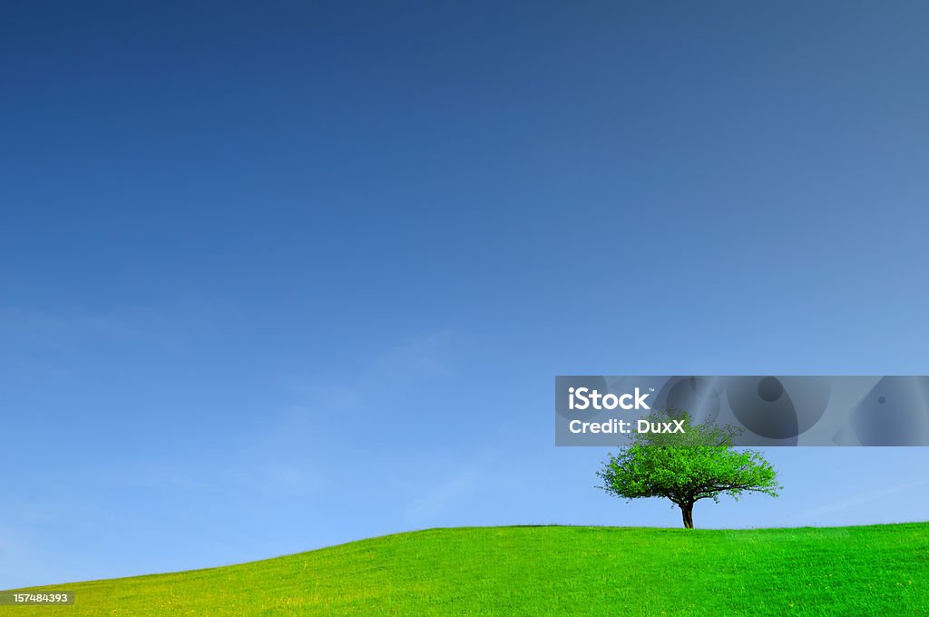 グリーンフィールドと木の風景 - Horizonのロイヤリティフリーストックフォト