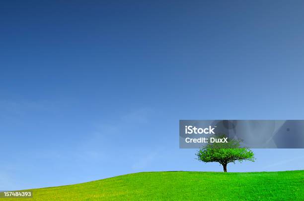 グリーンフィールドと木の風景 - Horizonのストックフォトや画像を多数ご用意 - Horizon, カラー画像, バイタリティ