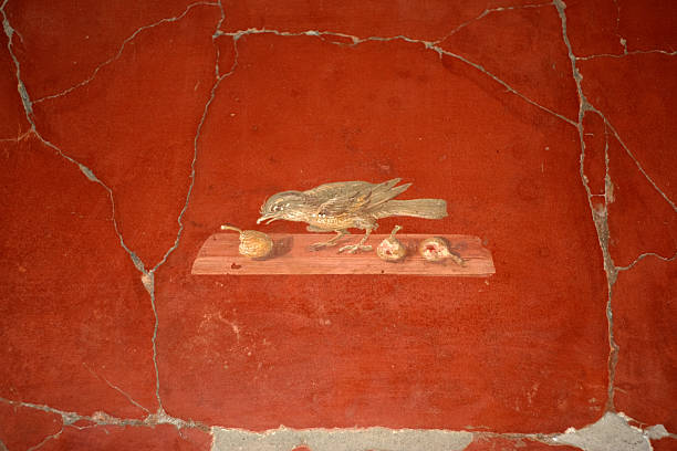 roman all'aperto in oplontis villa - affresco foto e immagini stock