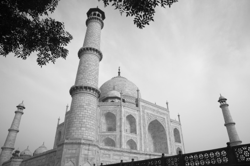 Taj Mahal view through Tree
