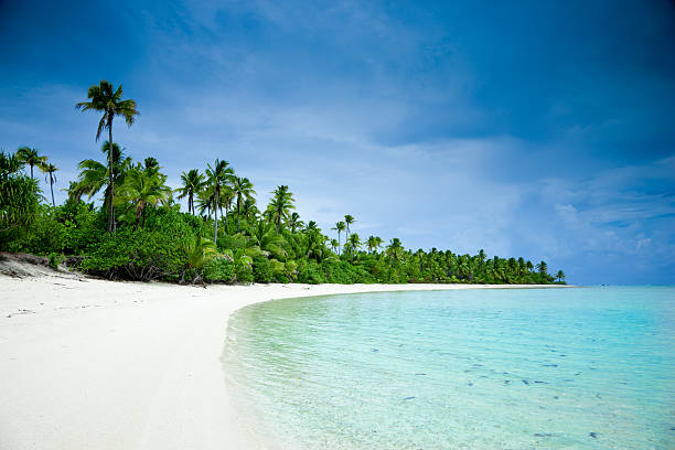 sueño de aitutaki un pie de la playa isla de las islas cook - south pacific ocean island polynesia tropical climate fotografías e imágenes de stock
