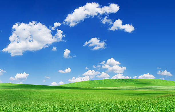 istock Green field and white clouds in the blue sky 157484637