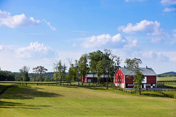 Rural farm house in the middle of a field stock photo