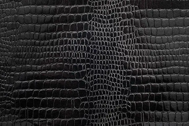 Black textured snakeskin paper photographed close-up revealing details of the paper as well as the pattern