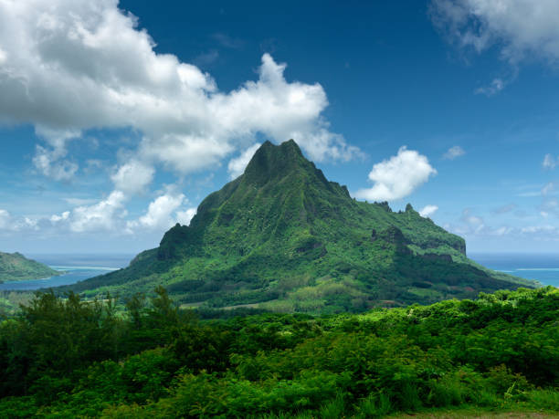 Moorea Island Mount Roto Nui Volcanic Mountain Le Belvedere Lookout View to Mount Roto Nui Volcano between Opunohu Bay (right) and Cook's Bay (left) from the Le Belvedere Mountain Viewpoint high in the middle of the moorea island mountains. Moorea Island, French Polynesia. bora bora mountain stock pictures, royalty-free photos & images