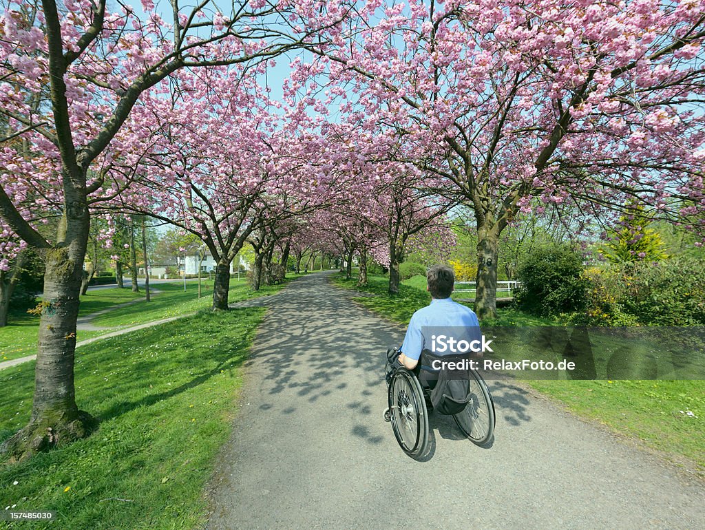 背面の男性に車椅子でブルーミングサクラの木 - 1人のロイヤリティフリーストックフォト