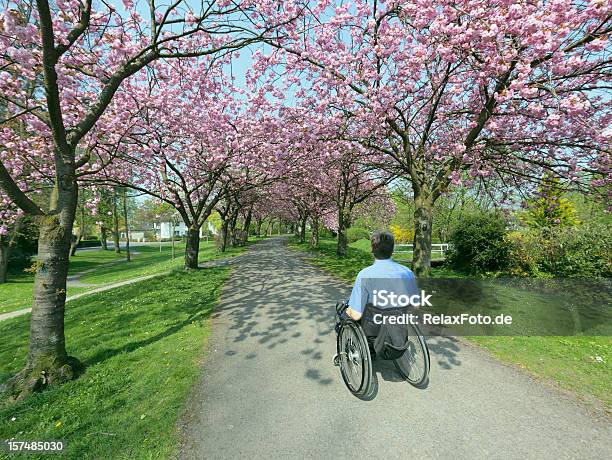 Вид Сзади Человека В Инвалидной Коляске В Цветущие Деревья Вишни — стоковые фотографии и другие картинки 30-39 лет