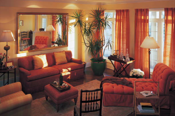 istock Luxury Living Room 157485129