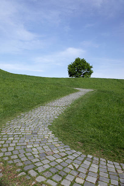 cobbled stone path with lonly tree on a slope stock photo