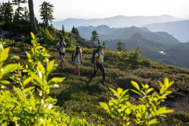 istock Family adventure in the mountains 1574853528