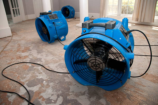sewage flood home restoration This is the sewage water damage recovery process in a residential home. The flooring is ripped off, and the rooms are sprayed with biowash. Industrial fans and dehumidifiers is placed in the room for the drying and restoration process. The process will last 3 days. natural disaster photos stock pictures, royalty-free photos & images