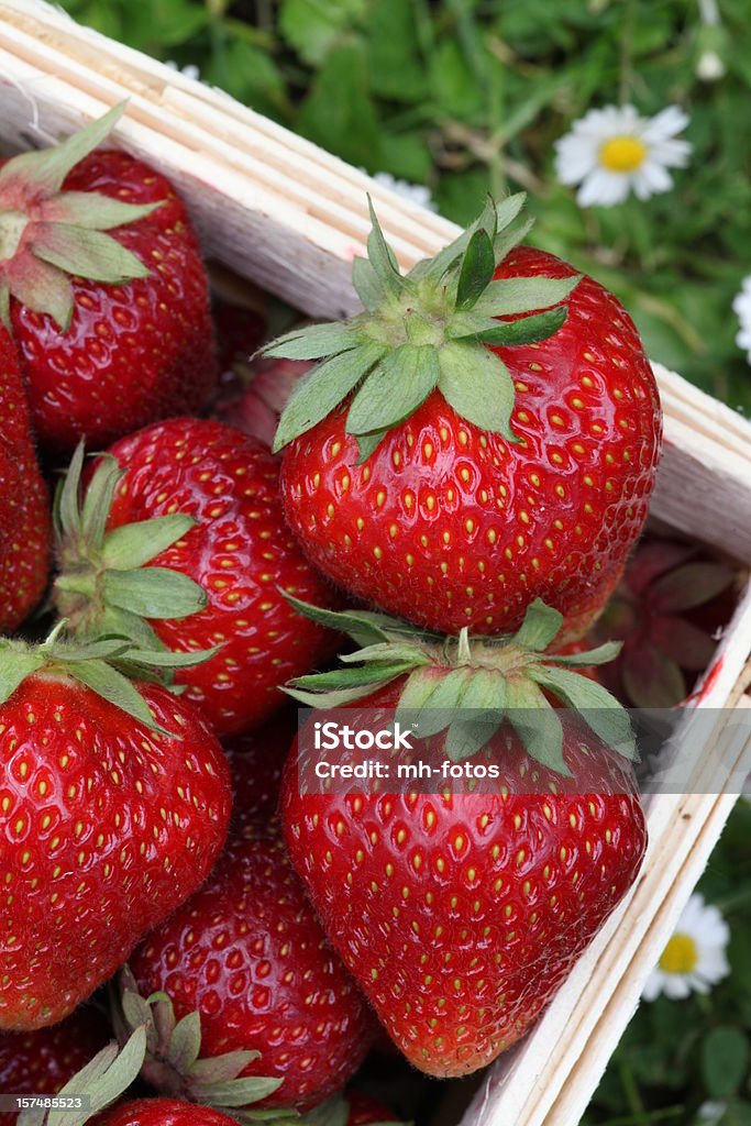 strawberrys w koszyku - Zbiór zdjęć royalty-free (Truskawka)