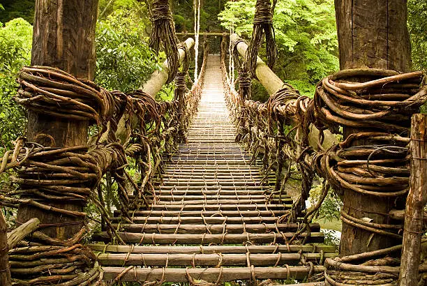 Kazurabashi vine bridge in Japan's Iya Valley