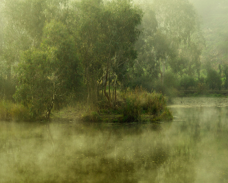 Atmospheric early light through fog and mist on a river