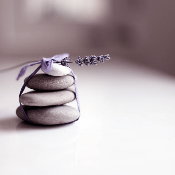 Lavanda ainda vida - fotografia de stock