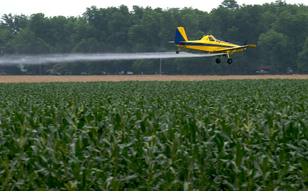 cornfield cropduster su - spraying agriculture farm herbicide foto e immagini stock