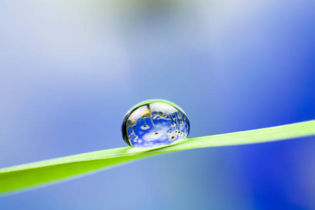 istock Waterdrop on grass. Water Drop Blue Flower Nature Reflection 157485701