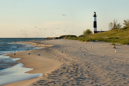 The black-and-white striped Big Sable Point Lighthouse (1867) and lots of gulls at the beach in early summer;  the lighthouse in the Ludington state park is one of Michigan's most beautiful; water, sand and sky in soft evening colors 